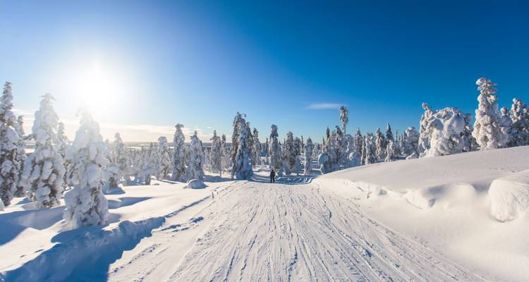 Paysage enneigé avec des arbres et un ciel bleu, le soleil brillant intensément.