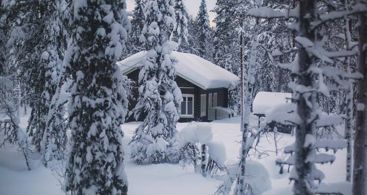 Cabane entourée de neige et d'arbres dans une forêt d'hiver.