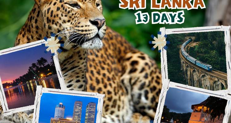 Travel Sri Lanka - Panoramic Tour & Travels 1