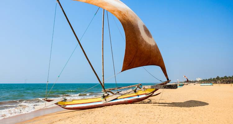 Travel Sri Lanka - Panoramic Tour & Travels 2