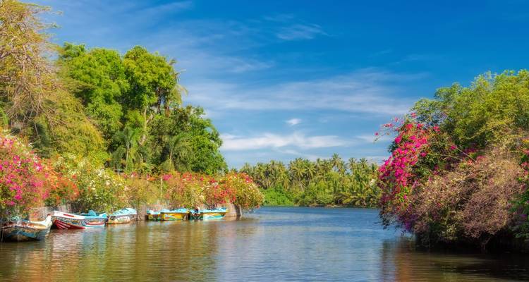Travel Sri Lanka - Panoramic Tour & Travels 3
