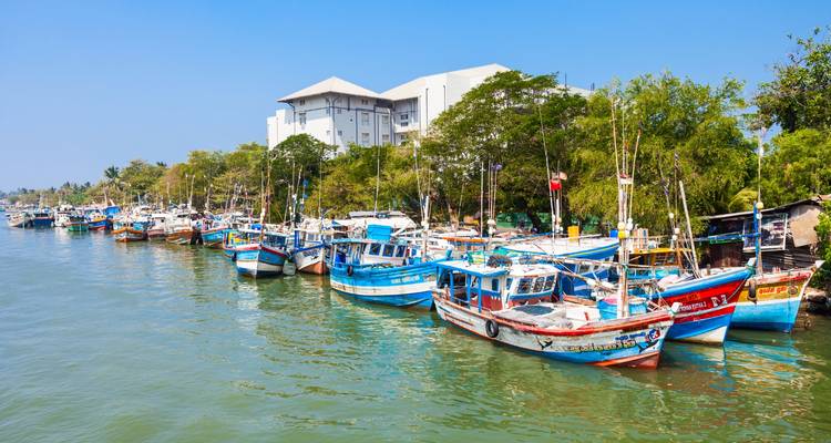 Travel Sri Lanka - Panoramic Tour & Travels 4