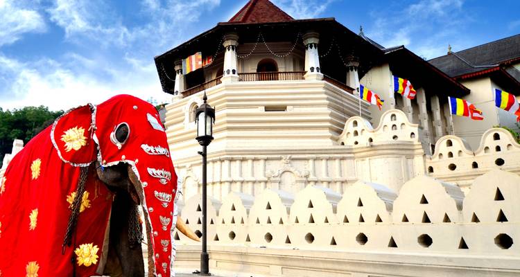 Travel Sri Lanka - Panoramic Tour & Travels 10