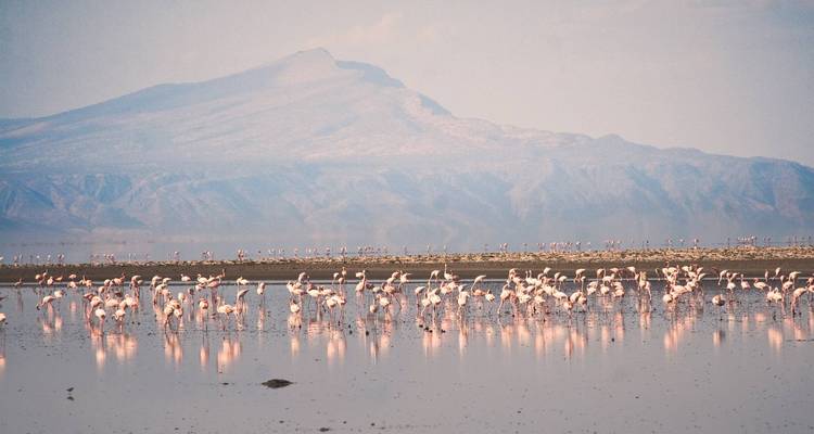 Safari de 14 días en Tanzania para observar aves - Lights on Africa Destinations & Safaris 9