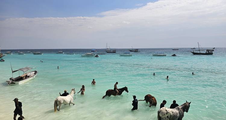 Mensen en paarden genieten van de heldere turquoise zee bij geankerde boten op een zonnige dag.
