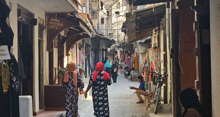 Smalle steeg in Stone Town met lokale bewoners die lopen en kleurrijke winkels langs de straat.