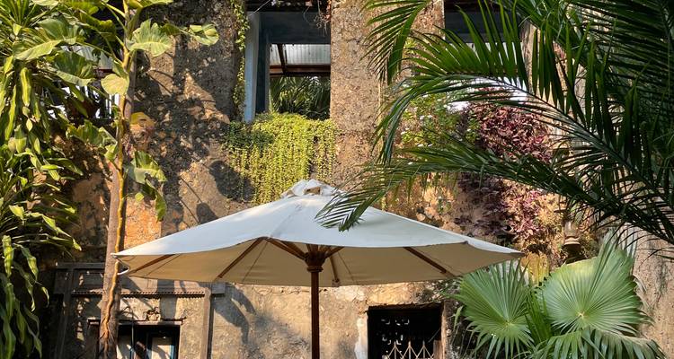 Weelderige binnenplaats met tropische planten, stenen muren en een witte parasol.