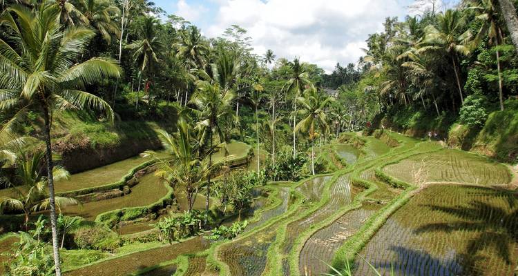 INDONESIA ǀ Selamat Datang - ¡Bienvenido a Indonesia! - Ruefa Studienreisen 4
