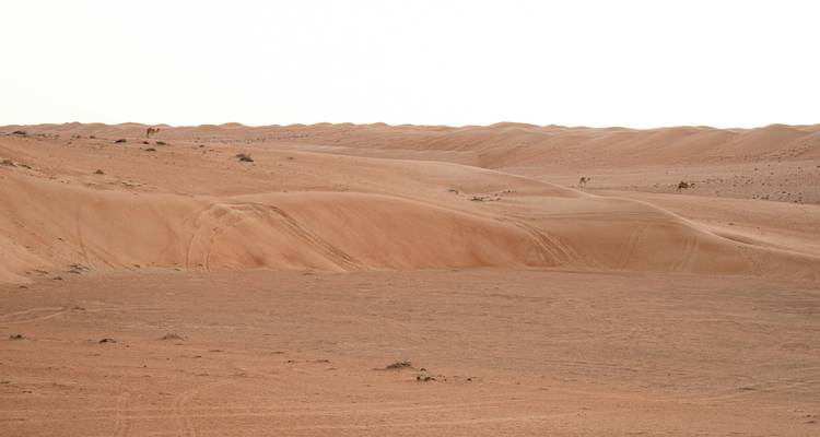 OMAN | Arabia Mágica - Ruefa Studienreisen 6