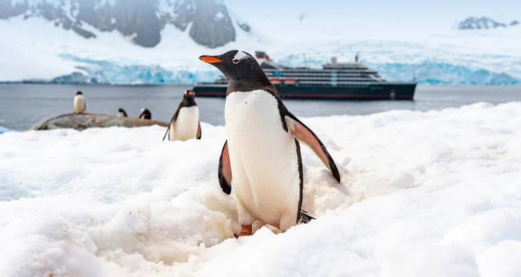 Antarctic Voyage with Chile and Brazil Highlights Santiago → Rio de Janeiro (2026) - APT 5