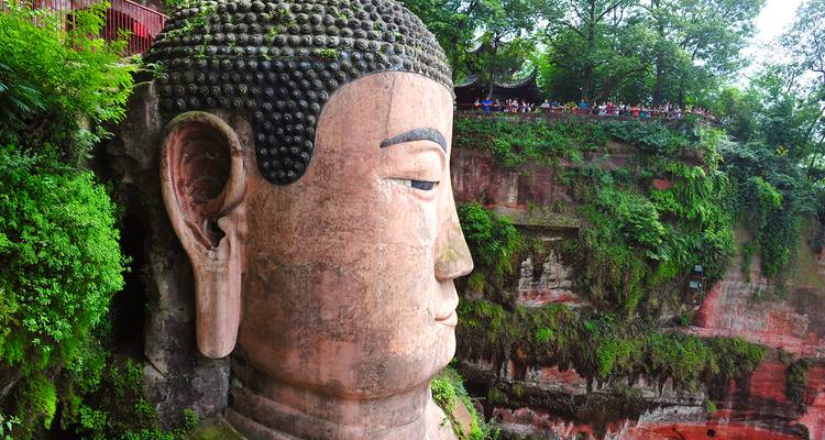 Here's the translation from English to Dutch:
Leshan Reuzenboeddha hoofd vanuit een nabije hoek.