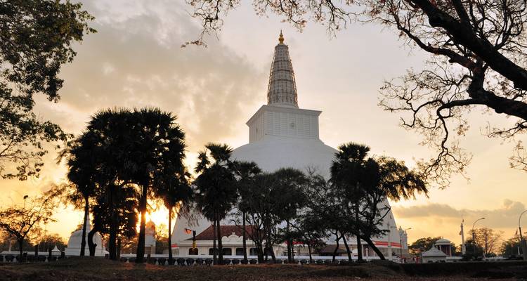 Explore Sri Lanka - Panoramic Tour & Travels 10