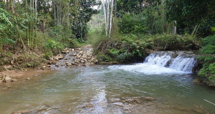 Discover New Land of Hiking in Pu Luong 's Nature Reserve 6 days from Hanoi - Rustic Asia Travel 4