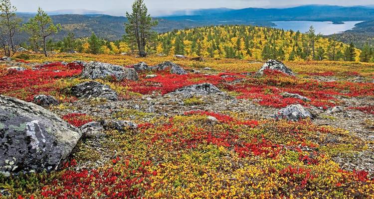 Active week at Lake Inari - DERTOUR 7