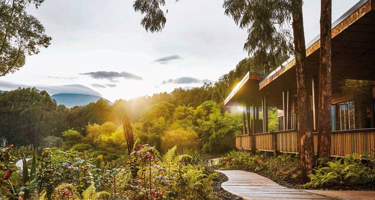 Vista soleada de un albergue moderno rodeado de vegetación.