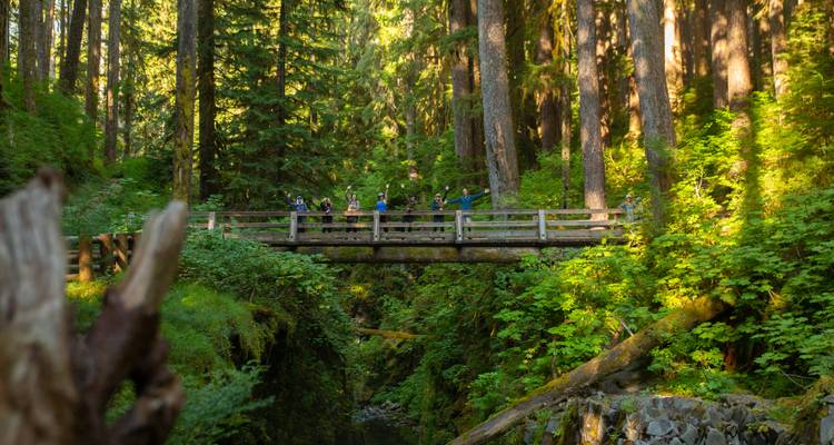 Groupe de personnes sur un pont dans une zone boisée.