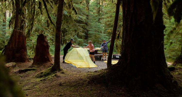 Monter une tente dans une zone boisée.