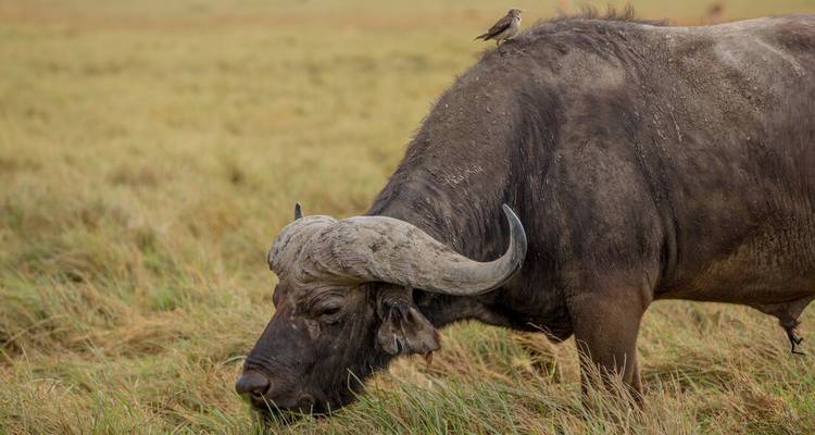 Classic East Africa - Intrepid Travel 3