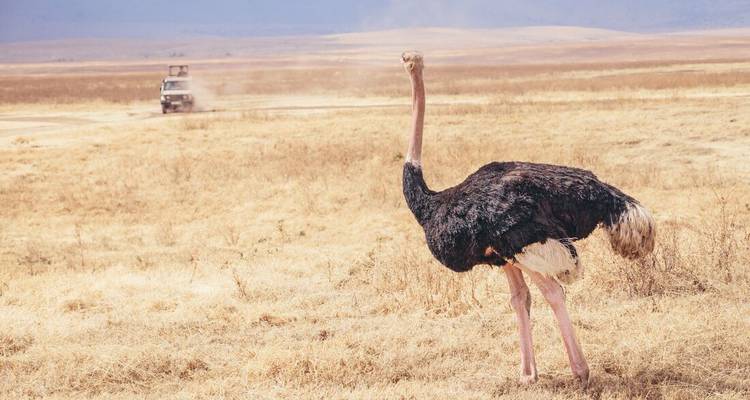 Classic East Africa - Intrepid Travel 4