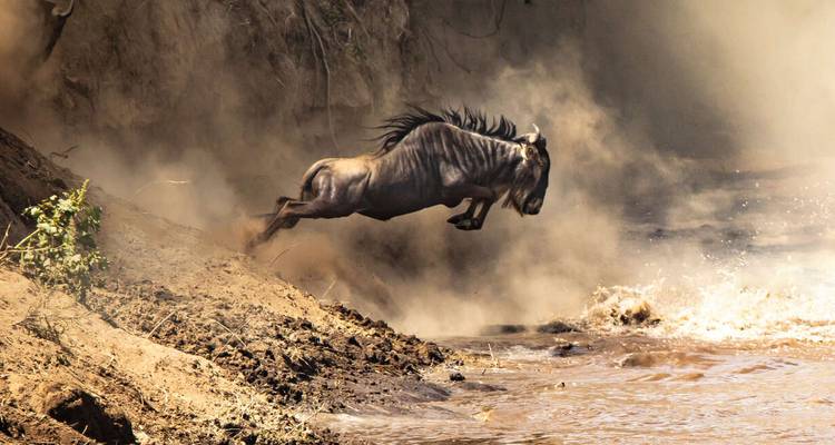 Mejorado - Lo más destacado de Kenia - Explore! 5