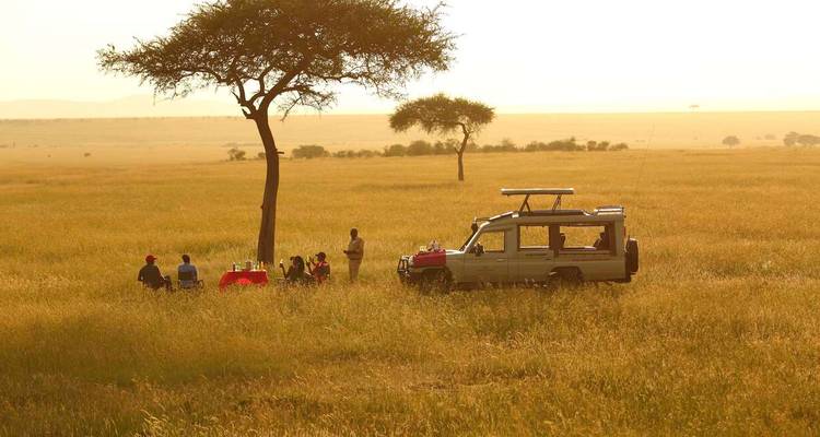 Mejorado - Lo más destacado de Kenia - Explore! 8