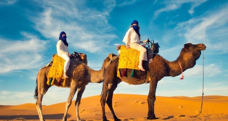 Private 8-Days Morocco Tour From Casablanca Imperial Cities & Sahara Desert - Travel-To-Desert 10