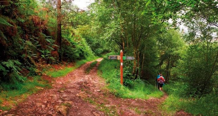 Le chemin de Saint-Jacques - l'itinéraire d'origine - DERTOUR 5