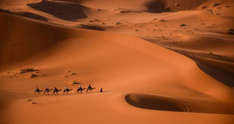 Circuit privé de luxe du nord au sud du Maroc via Fès et le désert de Merzouga 5 - Moroccan Best Tours 5