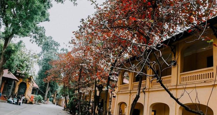 6 jours pour découvrir les hauts lieux du nord du Vietnam - Asia King Travel 4