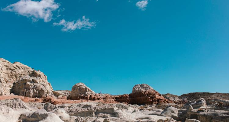 Best of Escalante and Capitol Reef Tour - Wildland Trekking 4