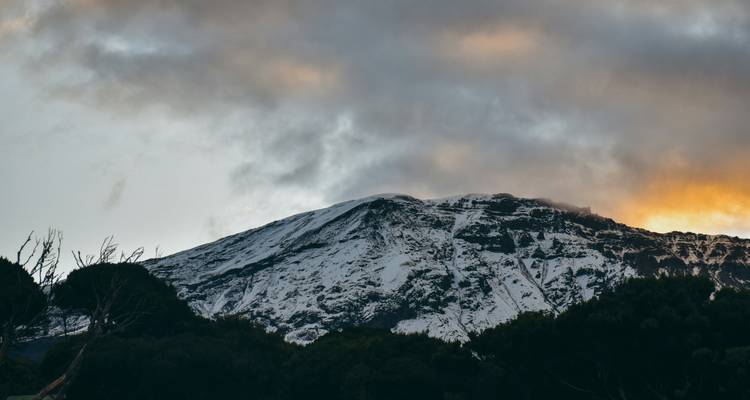 Kilimanjaro Day Hike from Moshi Kilimanjaro- Marangu Route - theKili-Guides 3