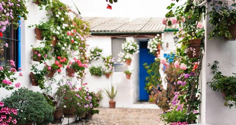Circuit de 5 jours en Andalousie, Costa del Sol et Tolède au départ de Madrid - Julia Travel 4