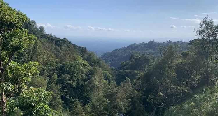 Cascadas de Materuni y tour del café - theKili-Guides 1