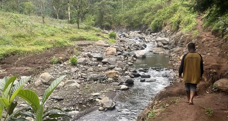 Cascadas de Materuni y tour del café - theKili-Guides 3