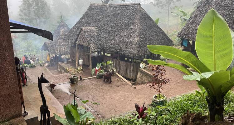 Cascadas de Materuni y tour del café - theKili-Guides 4