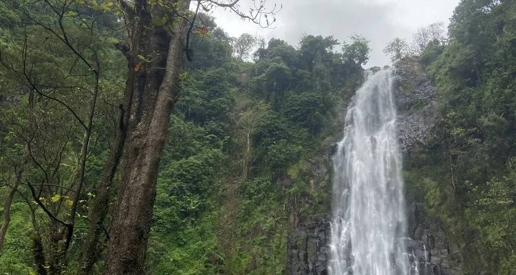 Cascadas de Materuni y tour del café - theKili-Guides 6