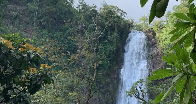 Cascadas de Materuni y tour del café - theKili-Guides 7