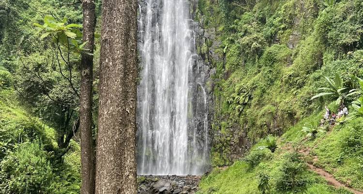Cascadas de Materuni y tour del café - theKili-Guides 8