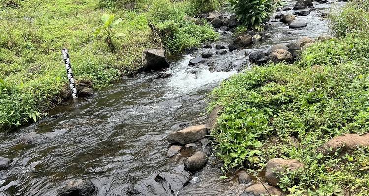 Cascadas de Materuni y tour del café - theKili-Guides 9