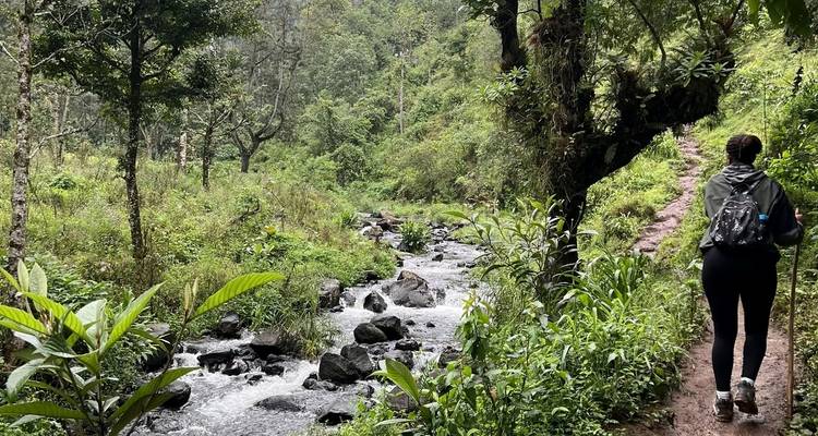 Cascadas de Materuni y tour del café - theKili-Guides 10