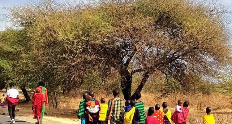 Lake Manyara National Park Day Trip - theKili-Guides 3