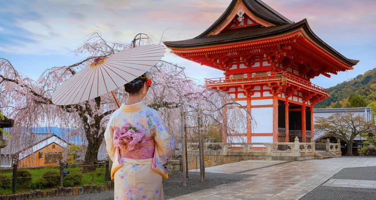 Paquete turístico de 10 días por Japón y la Expo Mundial de Osaka - Tourist Journey 1