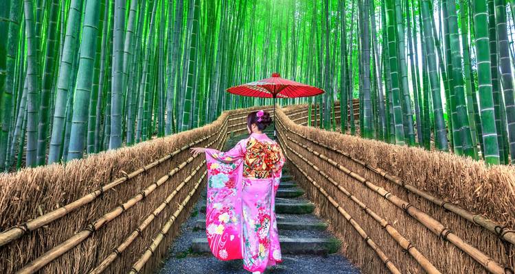 Paquete turístico de 10 días por Japón y la Expo Mundial de Osaka - Tourist Journey 2