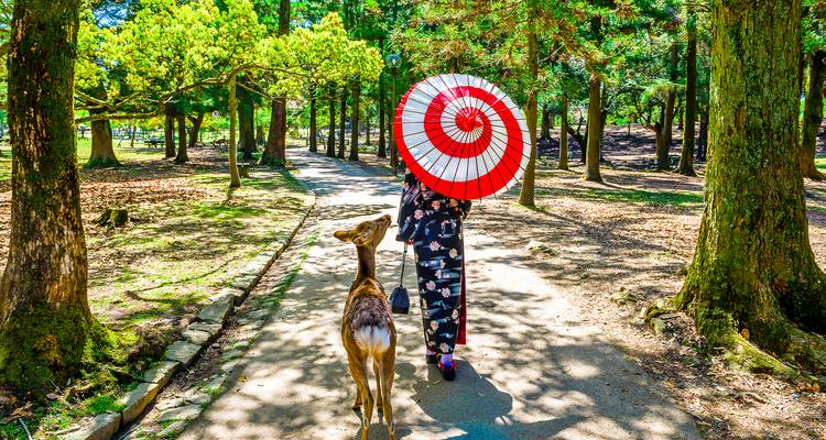 Paquete turístico de 10 días por Japón y la Expo Mundial de Osaka - Tourist Journey 4