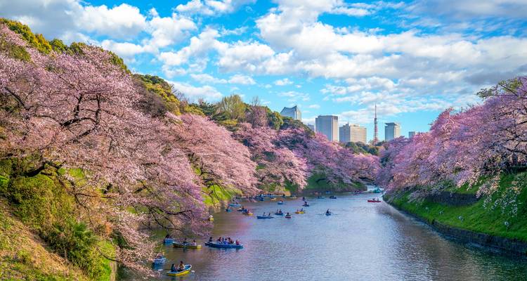 Paquete turístico de 10 días por Japón y la Expo Mundial de Osaka - Tourist Journey 6