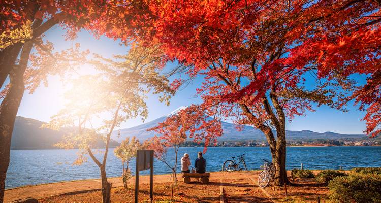 Paquete turístico de 10 días por Japón y la Expo Mundial de Osaka - Tourist Journey 8