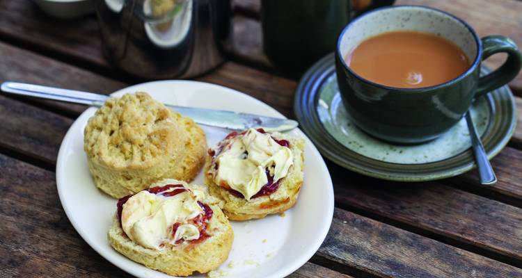 Nahaufnahme eines Scones mit Sahne und Marmelade neben einer Tasse Tee.