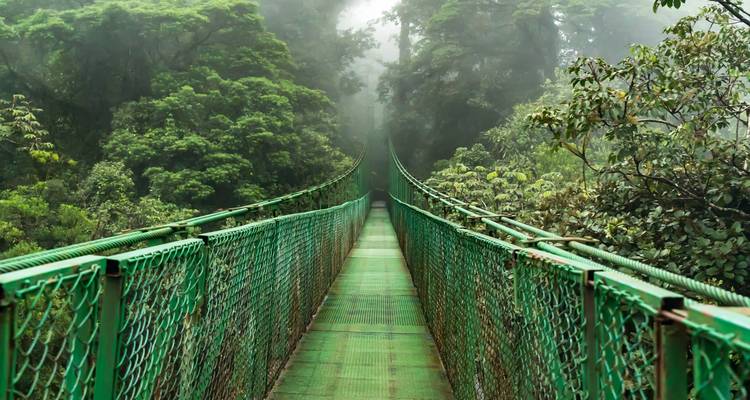 Nueva York y Costa Rica: ¡De la jungla de cemento al bosque nuboso! (from Nueva York to San José) - journaway 2