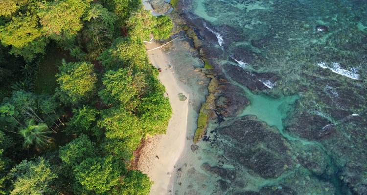 Nueva York y Costa Rica: ¡De la jungla de cemento al bosque nuboso! (from Nueva York to San José) - journaway 6