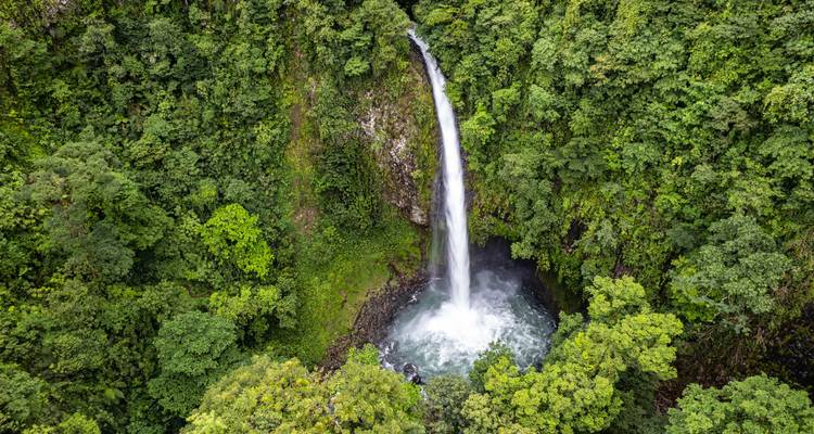 Nueva York y Costa Rica: ¡De la jungla de cemento al bosque nuboso! (from Nueva York to San José) - journaway 9